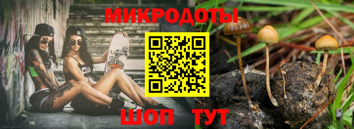 Псилоцибиновые грибы мицелий  Вход с VPN  Галлюциногенные грибы MAGIC MUSHROOMS  Владимир 